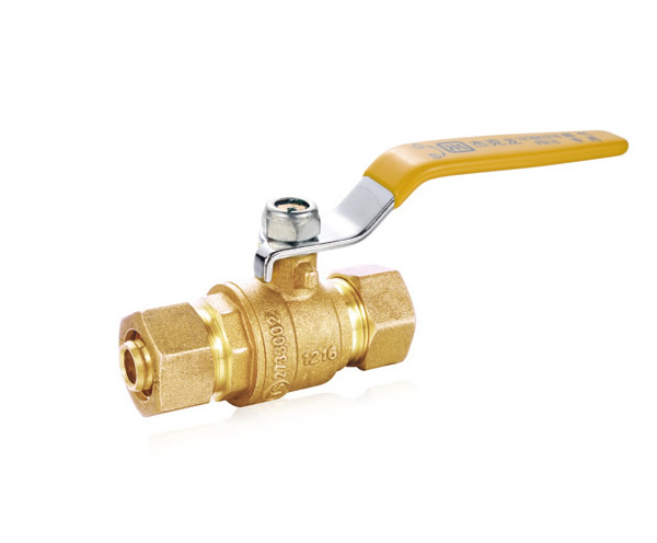 1533893305555536.jpg 1-1P20211314N16.jpg